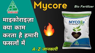 Dhanuka Mycore Mycorrhiza | माइकोराइज़ा क्यों जरुरी है हमारी फ़सलो मे