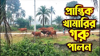 প্রাকৃতিকভাবে গরু পালন | প্রান্তিক খামারির গরুর পালন | Sitakund | Krishi Vlog | Channel Krishi