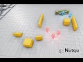 OpenAI Hide and Seek (Reinforcement Learning)