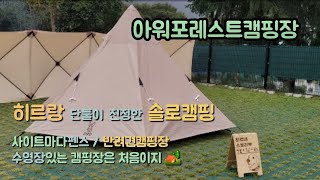 히르네:D 캠핑이야기 | 아워포레스트캠핑장 | DOD원폴텐트설치방법 | 솔로캠핑 | 마운틴하이커윈드스크린 | 반려견캠핑장 | 대형견캠핑 | 히르네캠핑카 | 골든리트리버캠핑