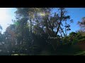 bryant park kodaikanal 3 nature footage 4k