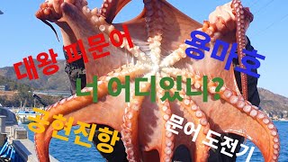 대왕 피문어낚시 입문기