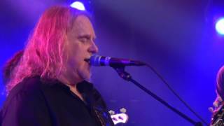 Gov't Mule - 