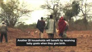 Ethiopia - coping with climate change