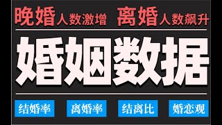 近十几年 中国婚姻状况最新数据真相！  晚婚？离婚？婚恋观是怎样的。【数据可视化】