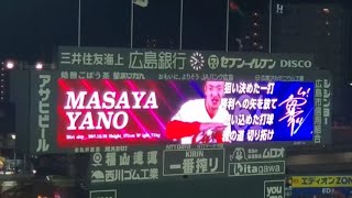 20240804　矢野雅哉 第3打席の登場曲　6回ｳﾗ　広島東洋ｶｰﾌﾟ@MAZDA Zoom-Zoom ｽﾀｼﾞｱﾑ広島･ﾋﾞｼﾞﾀｰﾊﾟﾌｫｰﾏﾝｽ