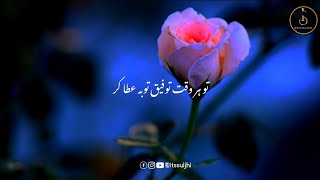 Heart Touching Naat Status 2023 | New Nazam Status 2023 | WhatsApp Status | Islamic Naat Status