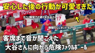 大谷選手に危険ファウルボールが… 持ち前の瞬発力で避けた後の行動が可愛すぎた Shohei Ohtani エンゼルス Angels  大谷翔平 現地映像