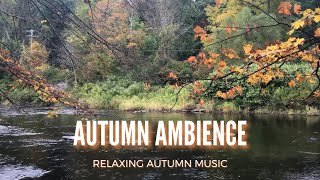 Autumn refined ambience autumn serene ambience #shorts asmr autumn ambience