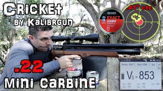 Kalibrgun Cricket .22 Air Rifle (Review) + Accuracy TEST - 50 \u0026 100 Yards - Mini Carbine PCP