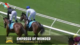 Lot 450 - Empress of Wonder - Magic Millions National Broodmare Sale