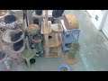 furball farm cat sanctuary 24 7 live stream