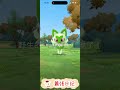 pokémon go 新葉喵社群日加長版限時調查 獎勵（有背卡的新葉喵）