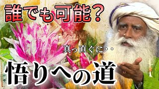 【サドグル】悟りを求めて成就するには？覚者の講演。※日本語字幕｜Sadhguru禅の源流