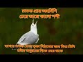 মিলন হবে কতদিনে। milon hobe koto dine। লিরিক্স এবং ব্যাখ্যা। lyrics and explain.