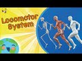 Locomotor System For Kids (Educational Video for Kids)