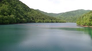 ６月の車旅 2017 ②　緑色の秋扇湖　鎧畑ダム　秋田県仙北市