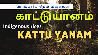 Kattuyanam rice | காட்டுயானம் நெல் | Indigenous rice | பாரம்பரிய​ நெல் வகை