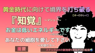 黄金時代に向けて境界を打ち破る❗️知覚❗️強力な精神的概念❗️感情についての洞察❗️愛と魂の宇宙メッセージを配信する5次元真実スピリチュアル裏番組❗️