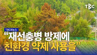 “재선충 방제 정책 바꿔야” 230606ㅣTBC뉴스