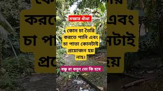 বুদ্ধিমান বন্ধু রা উত্তর চাই। #trending #shorts #funny #jokes