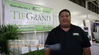 Hawaiian Turfgrass - TifGrand® Certified Bermudagrass Sod Hawaii