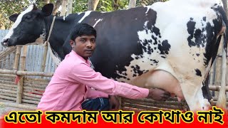 একদমই কমদামে বাছাই করা ভালো মানের গাভী.১০৭ হাজার টাকা থেকে গাভী কিনুন সরাসরি এসে.krishicitrotv