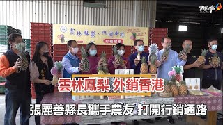 甜過初戀 旺你萊 雲林鳳梨外銷香港封櫃啟航