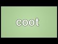 Coot Meaning