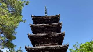 Ninna-ji temple walkthrough