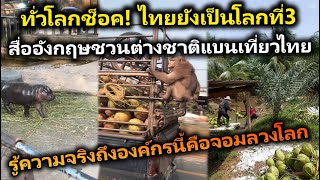 ทั่วโลกช็อค! ไทยยังเป็นโลกที่3 สื่ออังกฤษชวนต่างชาติแบนเที่ยวไทย รู้ความจริงถึงองค์กรนี้คือจอมลวงโลก