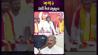 పెద్ది రెడ్డి పై పవన్ కీలక వ్యాఖ్యలు #pawankalyan #janasena #tdpparty #publicmeeting #elections2024