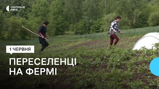 На Рівненщині родина фермерів дає прихисток переселенцям. Як і де живуть люди