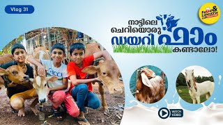 Dairy farm exploration/ ഒരു ഡയറി ഫാം വിശേഷങ്ങൾ/