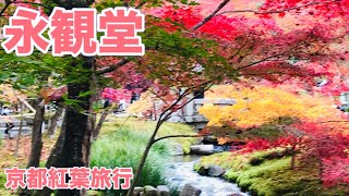 【京都観光】「絶景かな絶景かな南禅寺」「もみじの永観堂」京都紅葉旅行