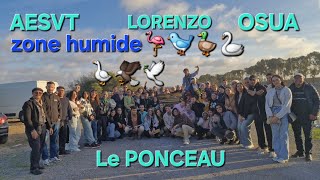 #ZONE_HUMIDE_MOHAMMEDIA#AESVT#LORANZO#CONCERT#MUSICAL#OISEAUX_MIGRATEUR#Z