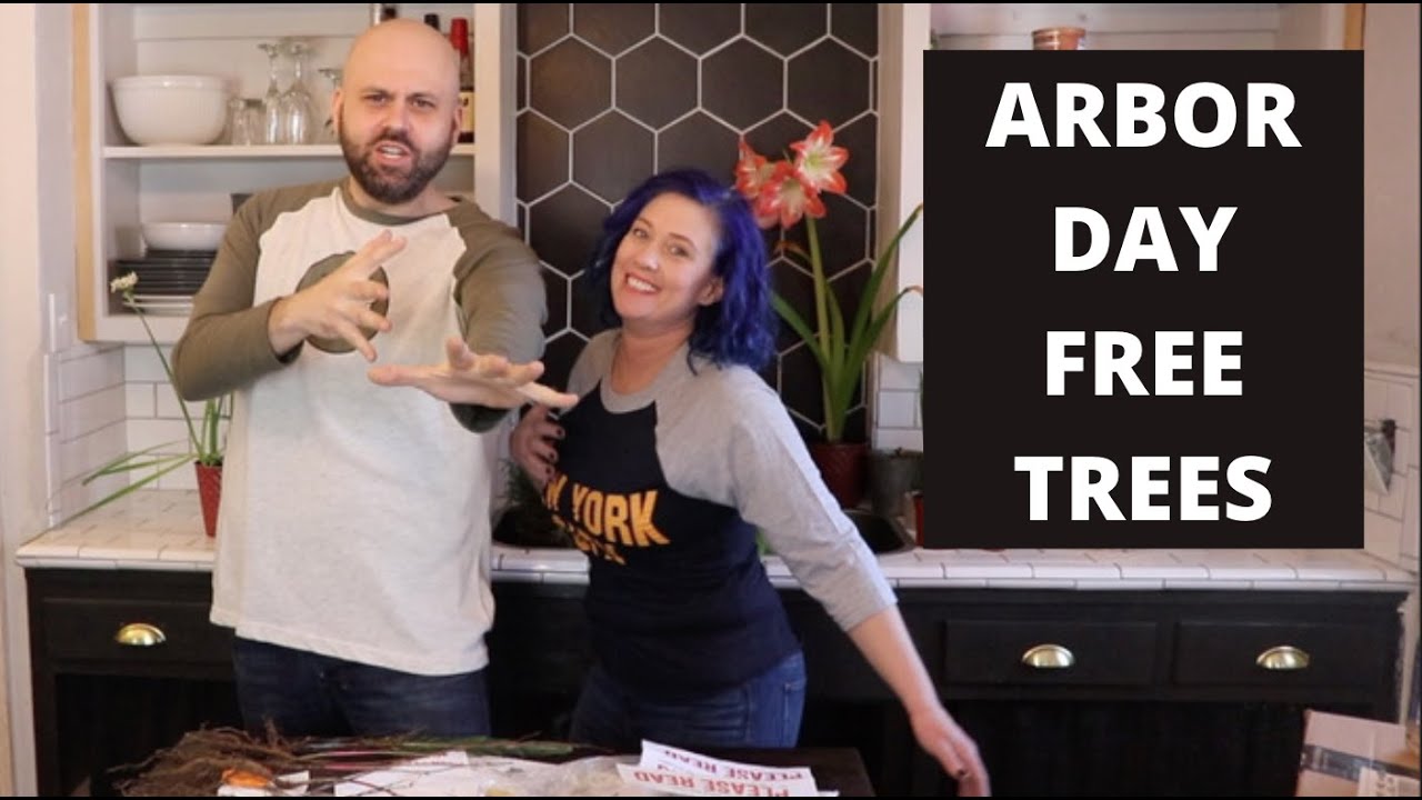 Unboxing Our Free Trees From Arbor Day Foundation Youtube