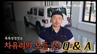 [글로벌리언tv] 카글라스코리아 자동차유리전문점 \