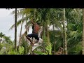 dillon climbing betel nut trees to harvest ked airai palau