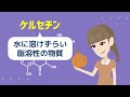 【ベストセラー】「６０歳以上の人が、酢玉ねぎを毎日食べ続けるとこうなります...」を世界一わかりやすく要約してみた【本要約】