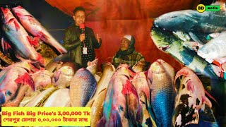 Sherpur Moulvibazar Fish Mela 2023 Most Expensive Fish Bangladesh শেরপুর মৌলভীবাজার মাছের মেলা ২০২৩