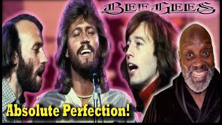 Bee Gees - Too Much Heaven REACTION!!! | reacting to reactors reacting