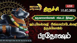 🔴LIVE- திருவானைக்கோயில் - ஜம்புகேஸ்வரர் திருக்கோவில் பிரதோஷம் வழிபாடு | Thiruvanaikoil Pradosham