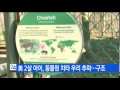 美 2살 아이 동물원 치타 우리 추락...구조 ytn