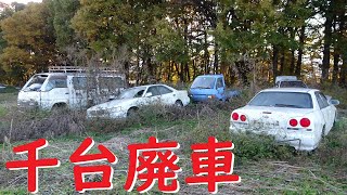 樹海に隠された【千台廃車、残り百台】Bgm　R34など歴代スカイライン　シルビア　180SX　歴代クラウン　コロナマークⅡ　BMW【廃車旧車、草ヒロ（草ムラのヒーロー）ヤード、クラシックカー、レトロ】