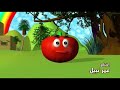 انا البندوره الحمره -اناشيد طيور الجنه