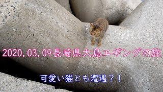 【釣り】2020.03.09長崎県大島エギングの旅。色々なポイントに行ってます。