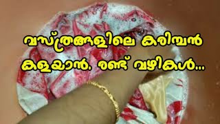 വസ്ത്രങ്ങളിലെ കരിമ്പൻ കളയാൻ എളുപ്പ മാർഗം/ how to remove karimban