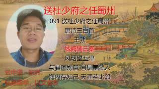 091《送杜少府之任蜀州》唐诗三百首：王勃