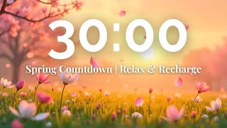 30 Minute Spring Timer 🌸 | Beautiful Serene Meadow Sunset with Relaxing Music